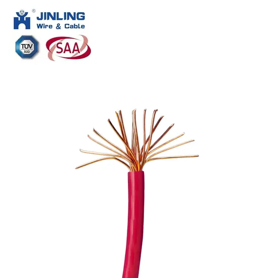 Wire and Cable 2-Core 3-Core 0.75 1 1.5 2.5 4 Square Rvv Outdoor Waterproof and Sunscreen Copper Core Cord