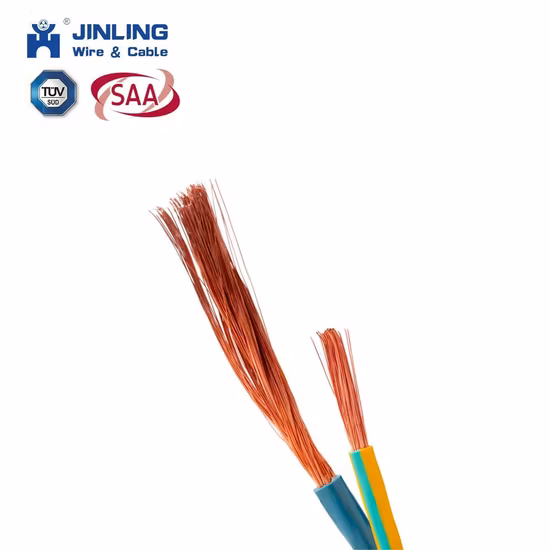 Wire and Cable 2-Core 3-Core 0.75 1 1.5 2.5 4 Square Rvv Outdoor Waterproof and Sunscreen Copper Core Cord