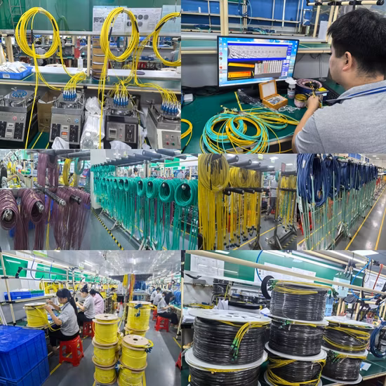 China Factory 12~72 Core MPO